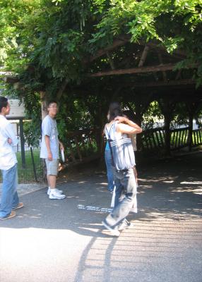 u42/ddtnt2000/medium/34282320.p5.jpg