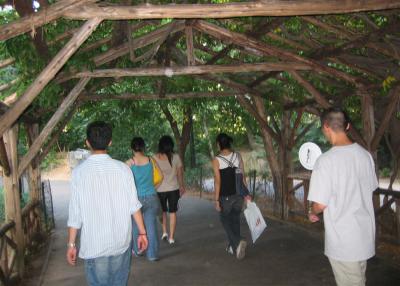 p7.jpg