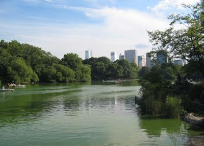 p11.jpg