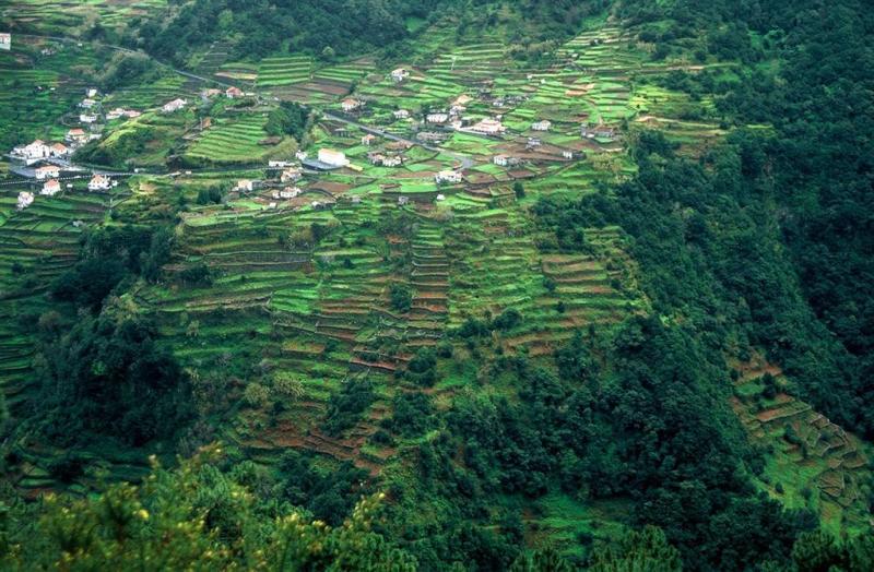 Lvada de la Ribeira da Janela