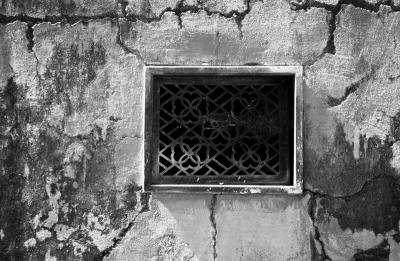 DSC_0016 copy 4.jpg