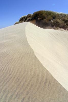 dunesm.jpg