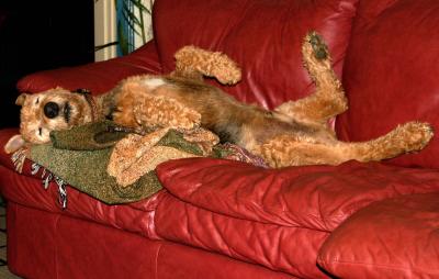 not a care in the world