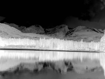 wonder (negative image)