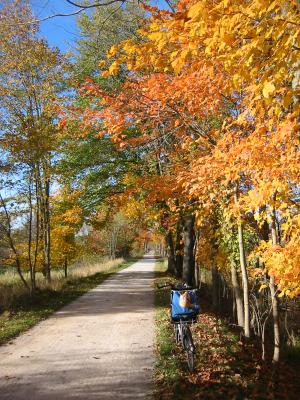 Autumn Trail