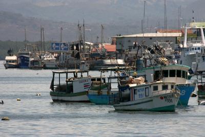u42/dholm/medium/27318655.PuntarenasHarbor.jpg