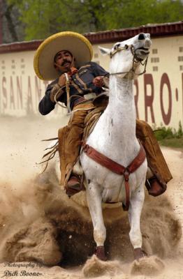 Horse Reining, or Cala de Caballo