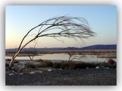 Harper Dry Lake, Mojave Desert