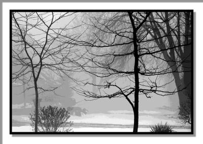 Early Evening Mist