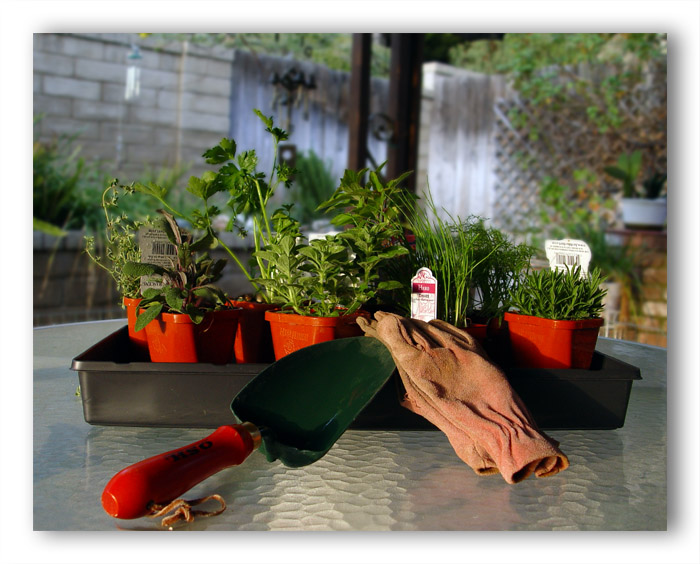 Parsley, Sage, Rosemary & Time