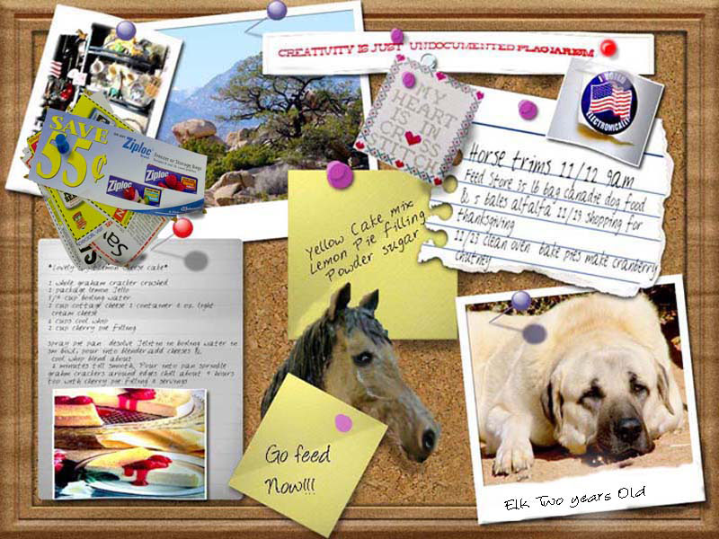 Bulletin Board