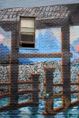 Window Dressing