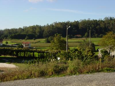 u42/dmastny/medium/34213922.DSC01992.jpg