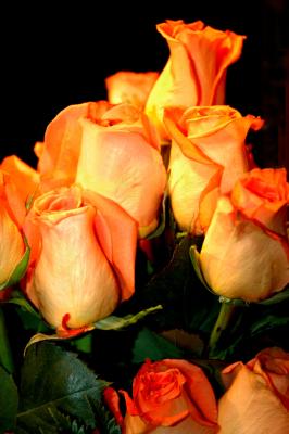 The Flower Lady     February 13