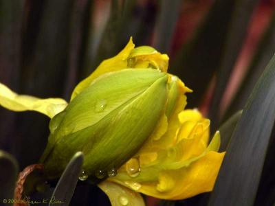 Van Sion after the rain.