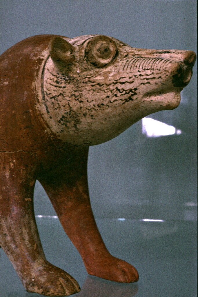 Bear