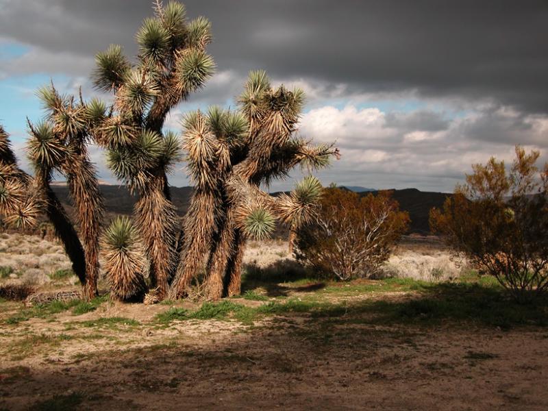 Red Rock Canyon State Park, California