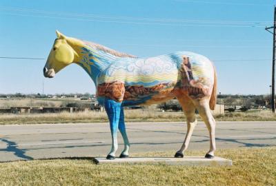 Palo Duro Horse