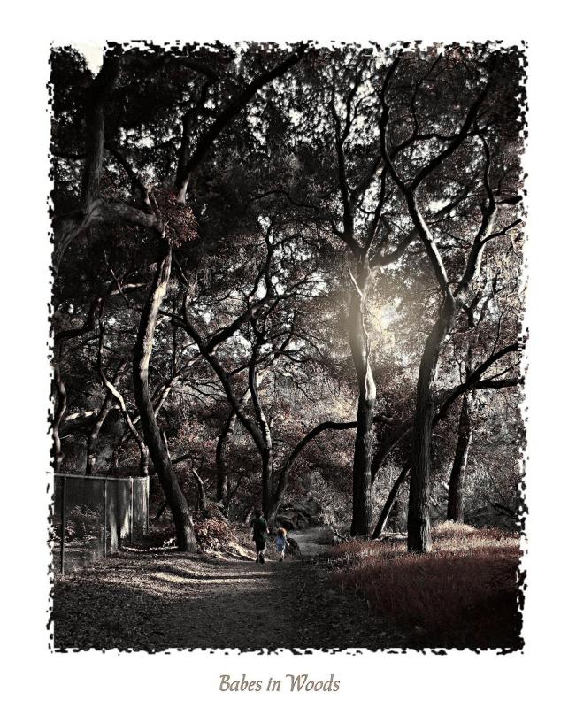 The Woods