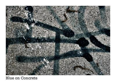 Blue on Concrete