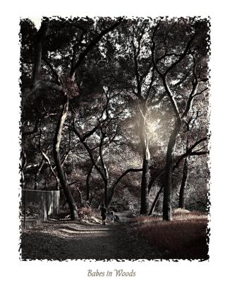 The Woods