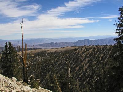 Desert view 02.jpg