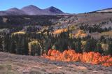 Fall in the Sierras.jpg