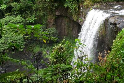 falls