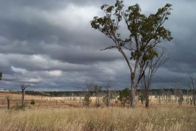 outback