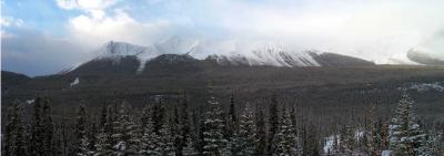 rockies
