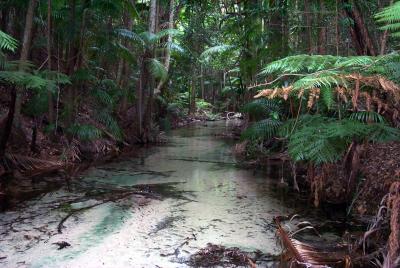 creek