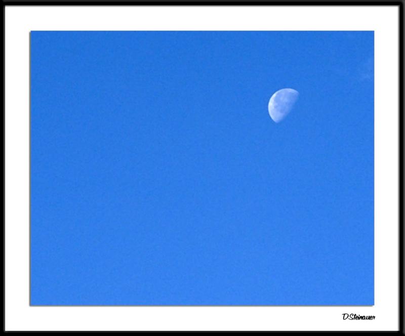 ds20041203_0081awF day moon.jpg