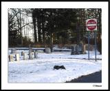 ds20050121_0140awF Do Not Enter.jpg