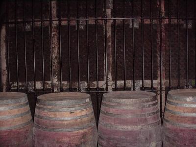Torres Wine Cellar Villa Franc'e Spain