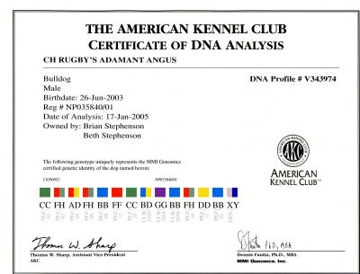 DNA Certificate
