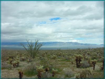 View from Rams Hill