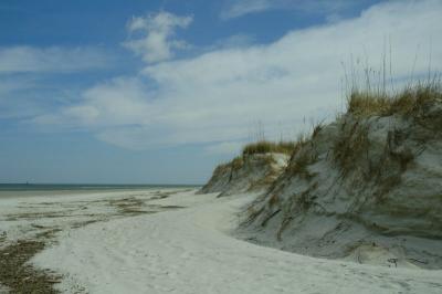 Smyrna Dunes Beach