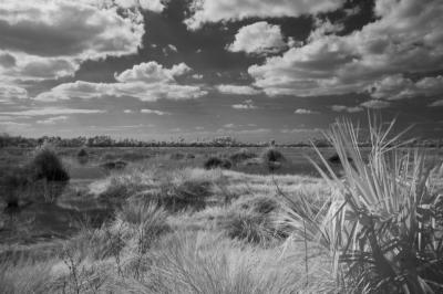 2/12/05 - IR, Woodruff Wildlife Refuge