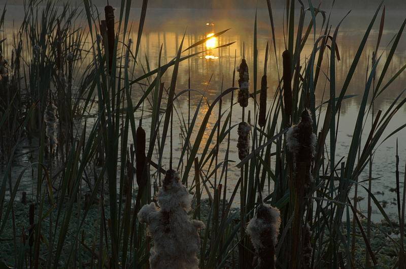 9/23/04 - Sunrise 3