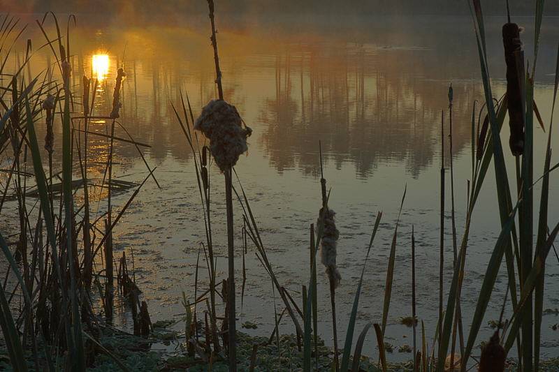 9/23/04 - Sunrise 2