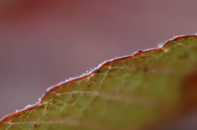 24_DSC_8538.jpg