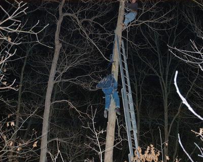 u42/edmondm/medium/27516191.NightRescue.jpg