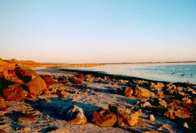 Salton Sea at Sunset