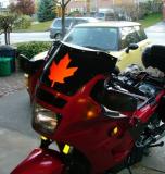 Maple Leaf Rag