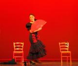 Flamenco