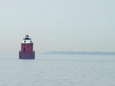 DSC01515 alt.jpg
