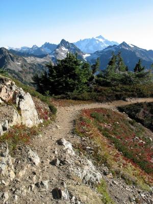 View from Trail of Goat and Shuksan