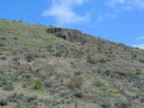 Manastash Ridge Outcropping