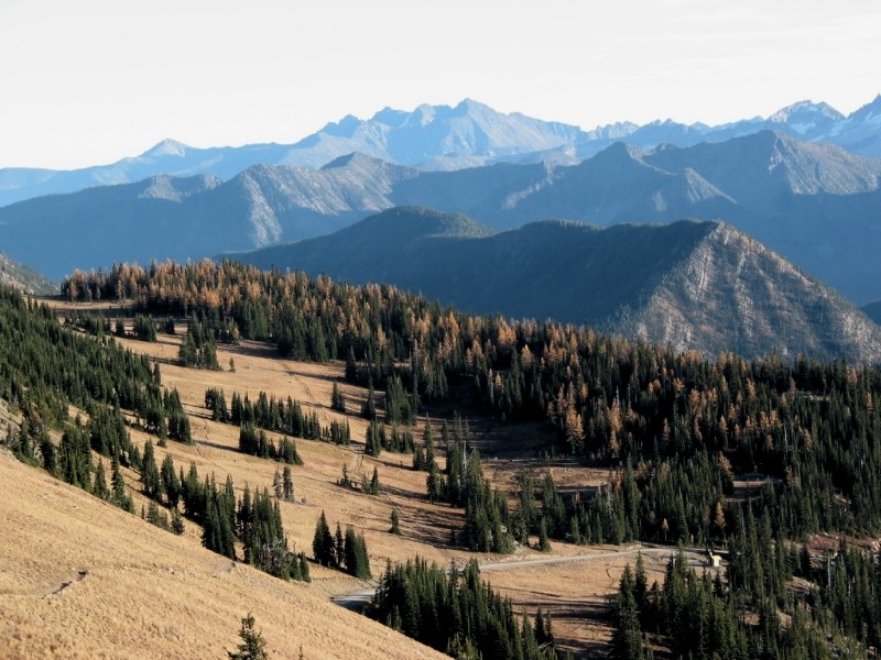 Trail and Road to Harts Pass