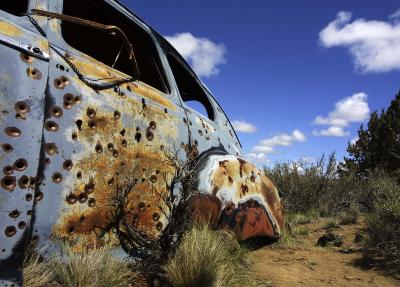 Desert Carcass